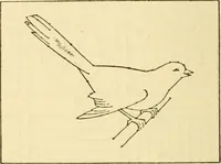 Picture 82 of 226 from Kindergarten, painting, plays and home entertainments; a book of amusement and instruction for boys and girls (1900), leaf 59
