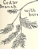 Picture 48 of 127 from The Kindergarten-primary magazine (1907), leaf 150