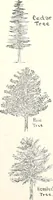 Picture 51 of 127 from The Kindergarten-primary magazine (1907), leaf 150