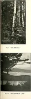 Picture 9 of 127 from The Kindergarten-primary magazine (1907), leaf 22
