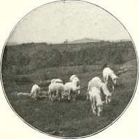Picture 11 of 127 from The Kindergarten-primary magazine (1907), leaf 22