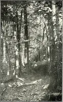 An illustration from The Kindergarten-primary magazine (1907)
