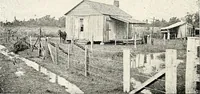 Picture 97 of 127 from The Kindergarten-primary magazine (1907), leaf 259
