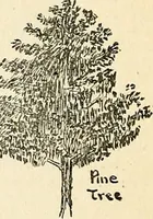 An illustration from The Kindergarten-primary magazine (1907)
