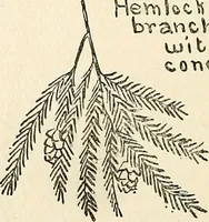 An illustration from The Kindergarten-primary magazine (1907)