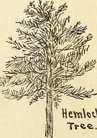 An illustration from The Kindergarten-primary magazine (1907)