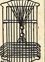 An illustration from The Kindergarten-primary magazine (1907)
