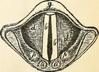 An illustration from The Kindergarten-primary magazine (1907)