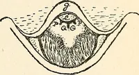 An illustration from The Kindergarten-primary magazine (1907)