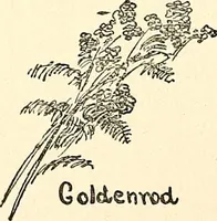Picture 2 of 117 from The Kindergarten-primary magazine (1907), leaf 35