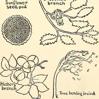 An illustration from The Kindergarten-primary magazine (1907)