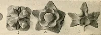 An illustration from The Kindergarten-primary magazine (1907)