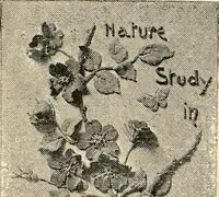 An illustration from The Kindergarten-primary magazine (1907)