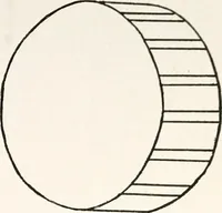 An illustration from The Kindergarten-primary magazine (1907)