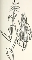An illustration from The Kindergarten-primary magazine (1907)