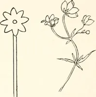 An illustration from The Kindergarten-primary magazine (1907)