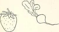 An illustration from The Kindergarten-primary magazine (1907)