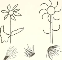 An illustration from The Kindergarten-primary magazine (1907)