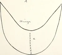An illustration from The Kindergarten-Primary Magazine (1901)