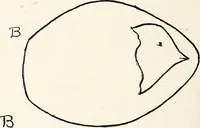 An illustration from The Kindergarten-Primary Magazine (1901)