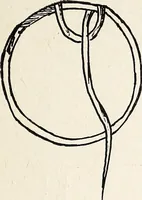 An illustration from The Kindergarten-Primary Magazine (1911)