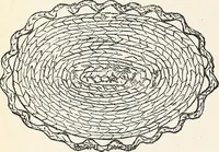 An illustration from The Kindergarten-Primary Magazine (1911)