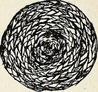 An illustration from The Kindergarten-Primary Magazine (1911)