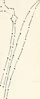 An illustration from The Kindergarten-Primary Magazine (1911)