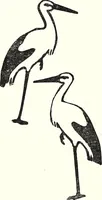 An illustration from The Kindergarten-Primary Magazine (1912)
