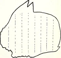 An illustration from The Kindergarten-Primary Magazine (1912)