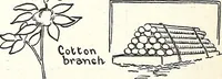 An illustration from The Kindergarten-Primary Magazine (1912)