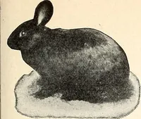 An illustration from The Kindergarten-Primary Magazine (1913)