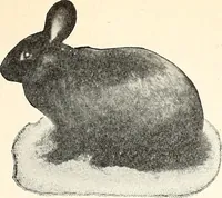 An illustration from The Kindergarten-Primary Magazine (1913)
