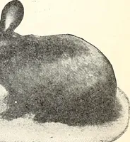 An illustration from The Kindergarten-Primary Magazine (1913)