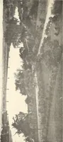 An illustration from The Kindergarten-Primary Magazine (1913)