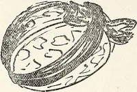 An illustration from The Kindergarten-Primary Magazine (1913)