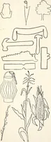 An illustration from The Kindergarten-Primary Magazine (1913)