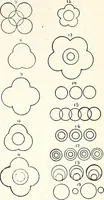 An illustration from The Kindergarten-Primary Magazine (1913)