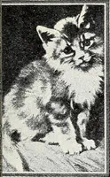An illustration from The Kindergarten-Primary Magazine (1913)
