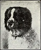 An illustration from The Kindergarten-Primary Magazine (1913)