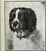An illustration from The Kindergarten-Primary Magazine (1913)