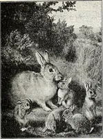An illustration from The Kindergarten-Primary Magazine (1914)