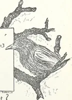 An illustration from The Kindergarten-Primary Magazine (1914)