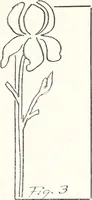An illustration from The Kindergarten-Primary Magazine (1914)