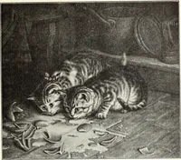 An illustration from The Kindergarten-Primary Magazine (1914)