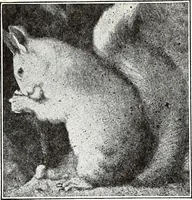 An illustration from The Kindergarten-Primary Magazine (1914)