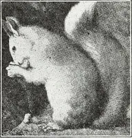 An illustration from The Kindergarten-Primary Magazine (1914)