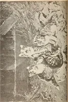 An illustration from The Kindergarten-Primary Magazine (1915)