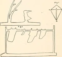 An illustration from The Kindergarten-Primary Magazine (1915)