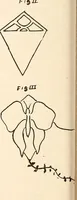 Picture 99 of 146 from The Kindergarten-Primary Magazine (1915), leaf 223